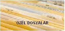 Özel Dosyalar